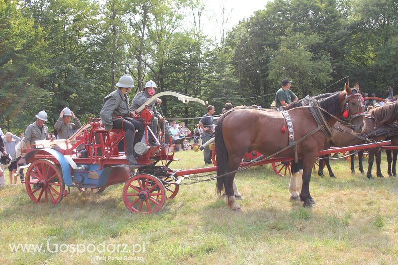 Pokazy konnych sikawek strażackich w Rudawce Rymanowskiej