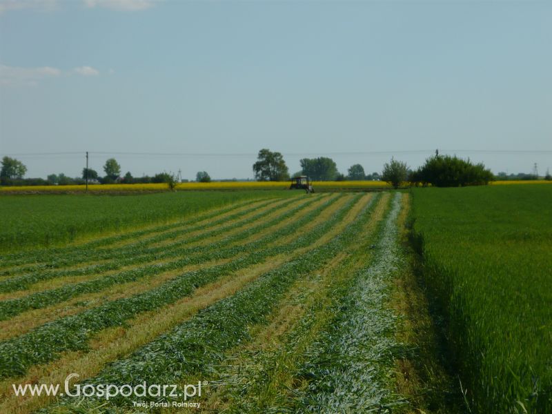 Sezon 2011-wspomnienia 