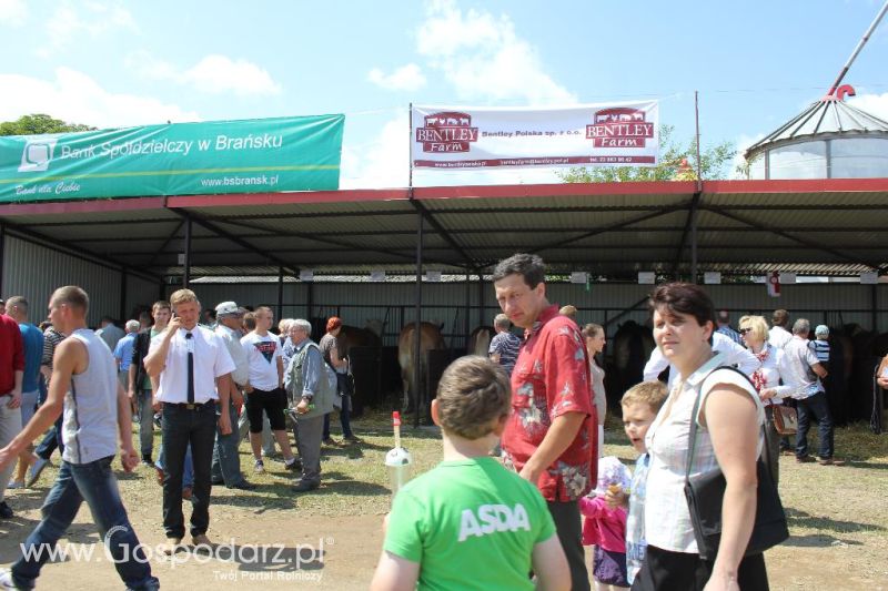 Regionalna Wystawa Zwierząt Hodowlanych i Dni z Doradztwem Rolniczym w Szepietowie-sobota