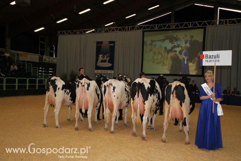 Wystawa  Blickpunkt Rind 2013 w miejscowości Paaren/Glien (Niemcy)