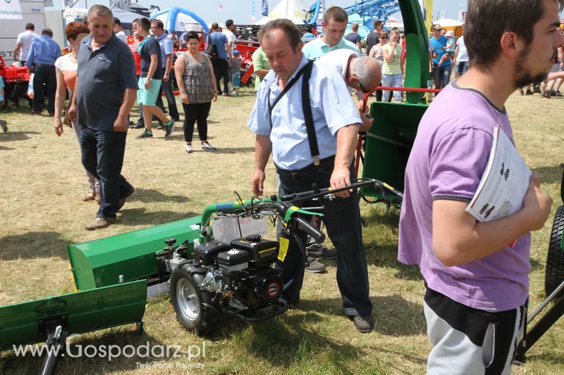 Kellfri na OPOLAGRZE 2016