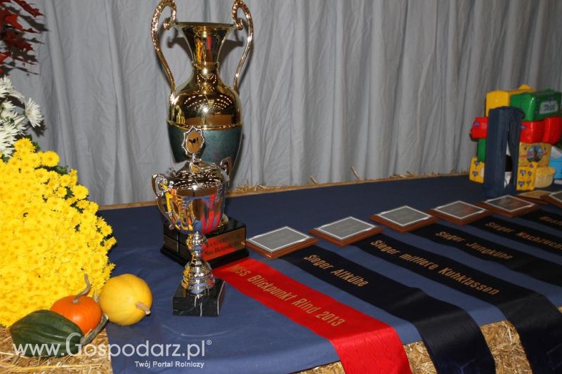 Wystawa  Blickpunkt Rind 2013 w miejscowości Paaren/Glien (Niemcy)
