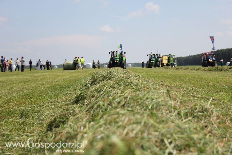 Zielone Agro Show pokaz maszyn rolniczych