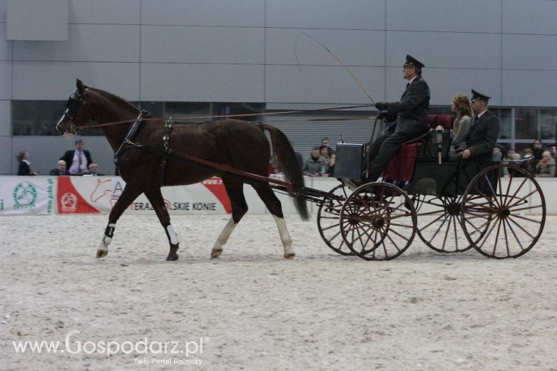 CAVALIADA 2013 w Poznaniu