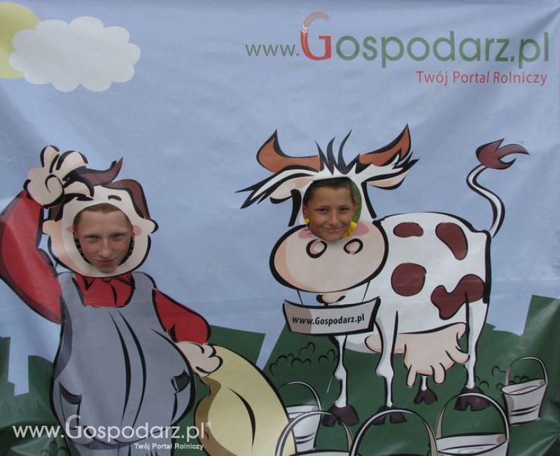 Wielkopolskie Targi Rolnicze „Sielinko 2011”  - Krówka Gospodarza