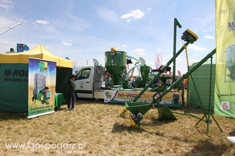 Zielone AGRO SHOW - Polskie Zboża 2015 w Sielinku