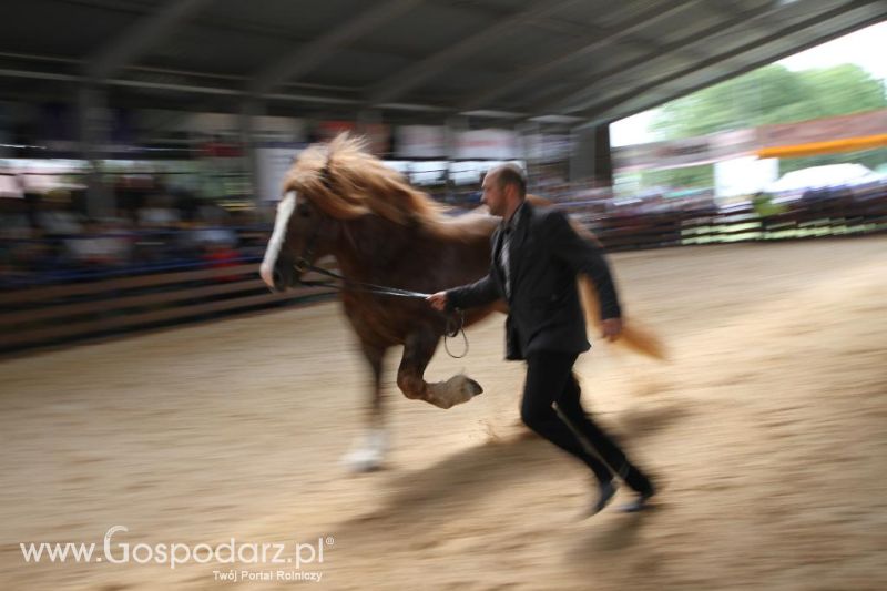 VIII Ogólnopolska Wystawa Bydła Hodowlanego, XXI Regionalna Wystawa Zwierząt Hodowlanych i Dni z Doradztwem Rolniczym w Szepietowie
