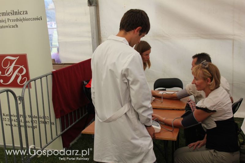 Świętomięs Polski w Chorzowie