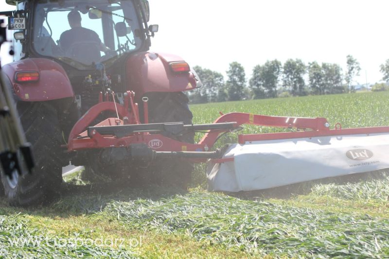 Zielone AGRO SHOW – POLSKIE ZBOŻA 2014 w Sielinku - niedziela