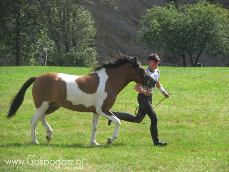 Krajowa Wystawa Ras Rodzimych Rudawka Rymanowska 2012