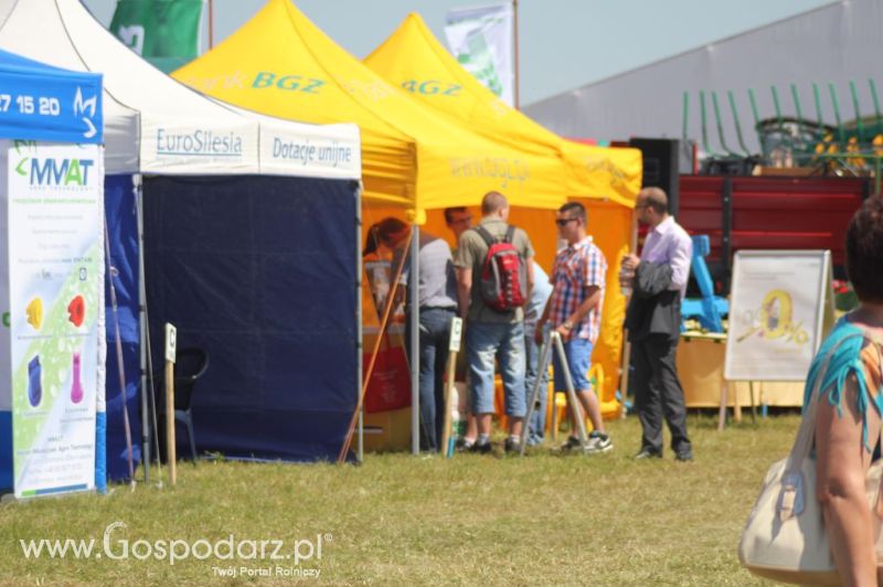 Bank BGŻ na Opolagra 2012