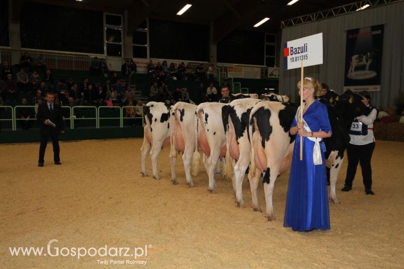 Wystawa  Blickpunkt Rind 2013 w miejscowości Paaren/Glien (Niemcy)