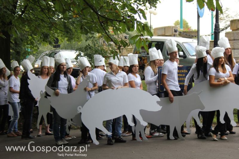 Świętomięs Polski w Chorzowie