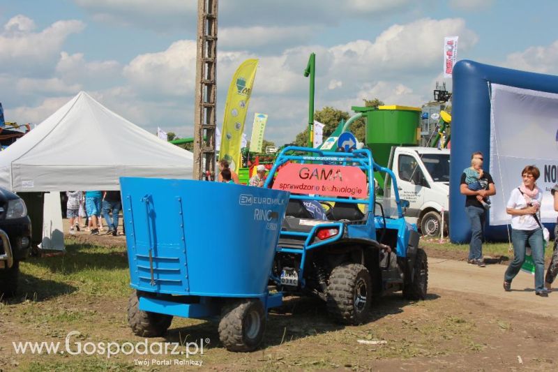 Regionalna Wystawa Zwierząt Hodowlanych i Dni z Doradztwem Rolniczym w Szepietowie-sobota