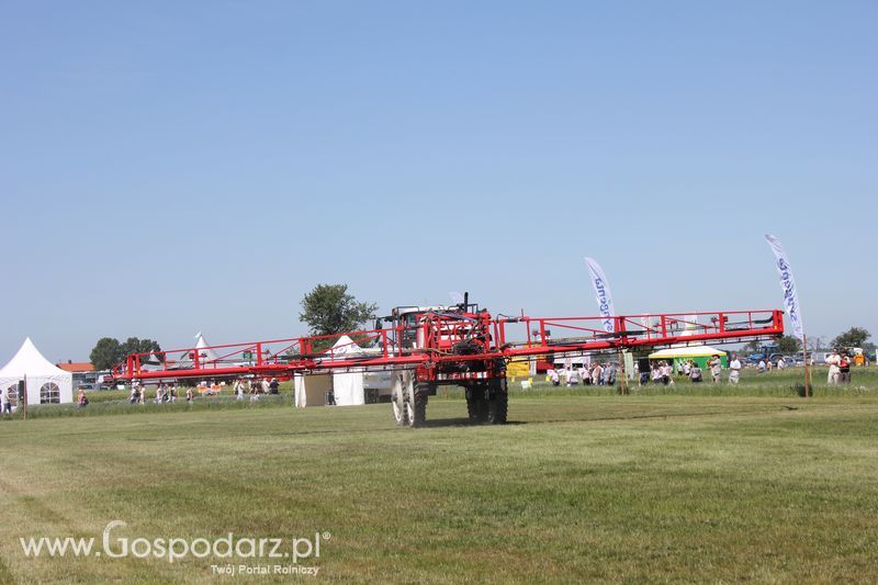 Polskie Zboża 2011 - Piątek 