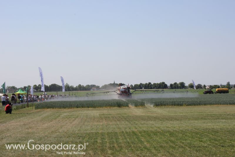 Polskie Zboża 2011 - Piątek 