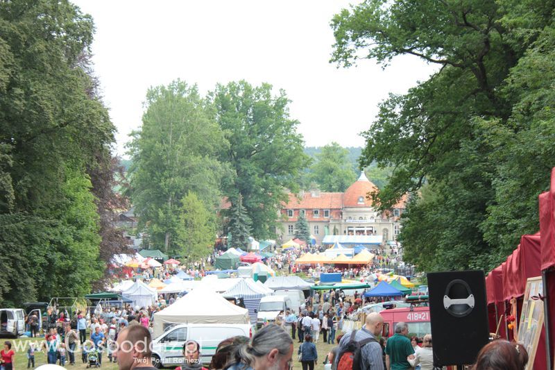  XX Targi Rolnicze Lubniewice