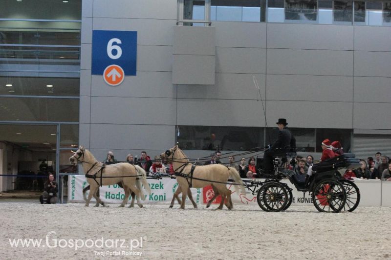 CAVALIADA 2013 w Poznaniu