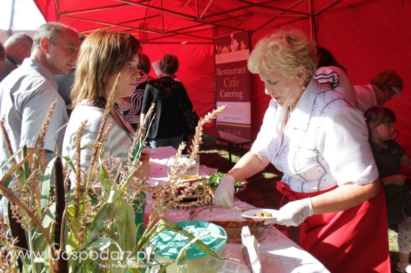 II Festiwal Wieprzowiny w Wąbrzeźnie
