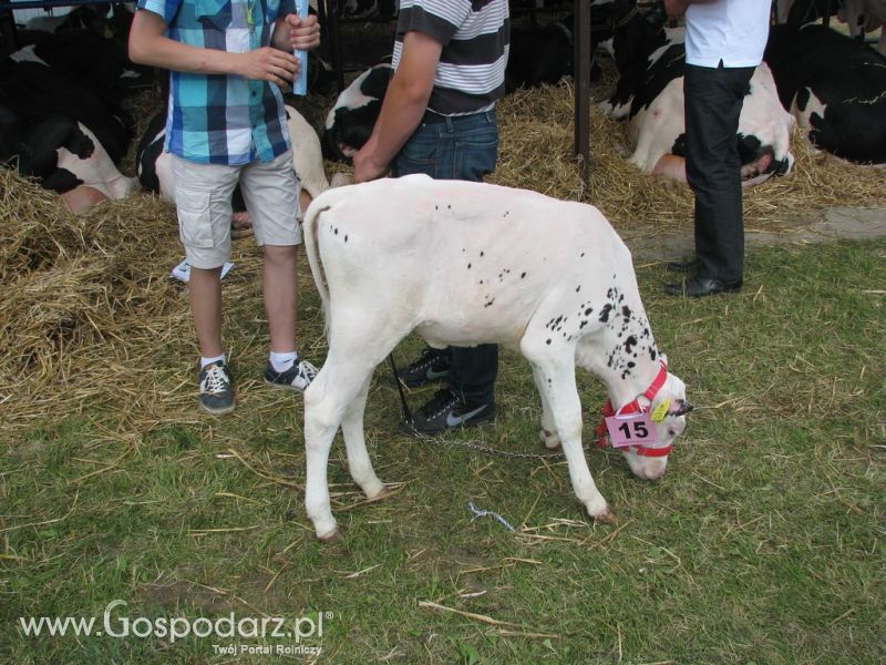 Młody Hodowca - Szepietowo 2012 XIX Regionalna Wystawa Zwierząt Hodowlanych
