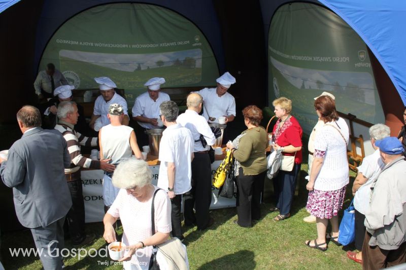 Świętomięs Polski w Chorzowie