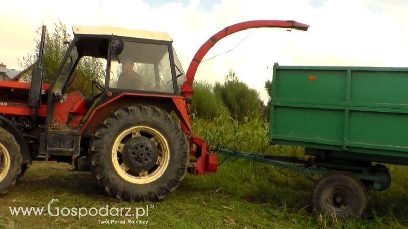 Kiszonka 2013