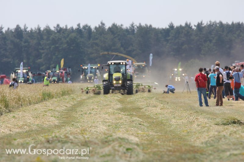 Pokazy polowe podczas targów OPOLAGRA 2015