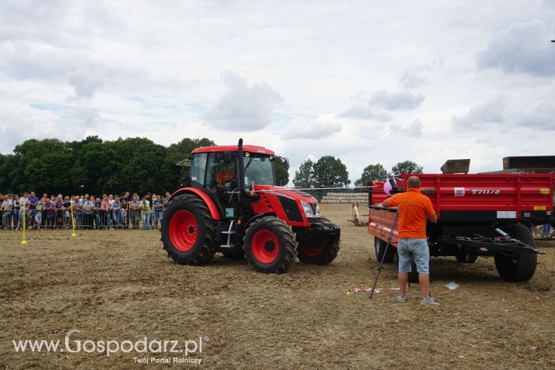 Precyzyjny Gospodarz i Gospodarz Retro na Roltechnice 2017