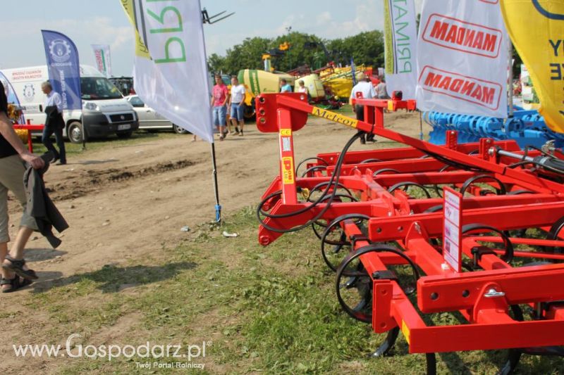 Regionalna Wystawa Zwierząt Hodowlanych i Dni z Doradztwem Rolniczym w Szepietowie-niedziela