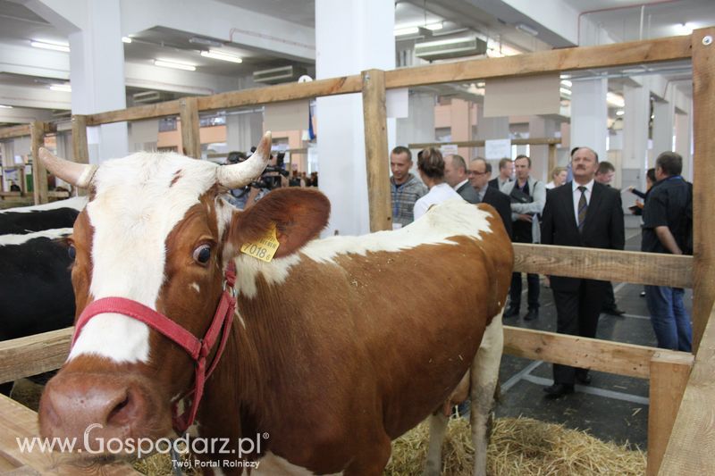 Spacer Ministra Sawickiego po terenie targów Polagra Food i KWZH