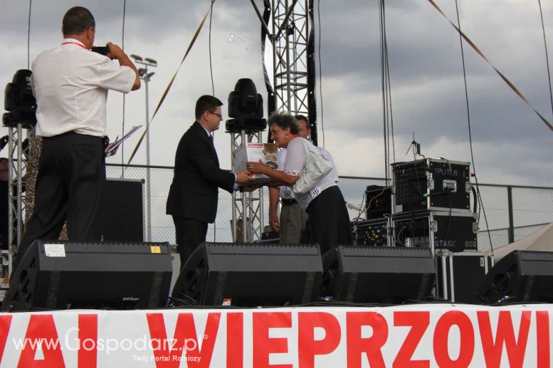 Festiwal Wieprzowiny w Bełżycach