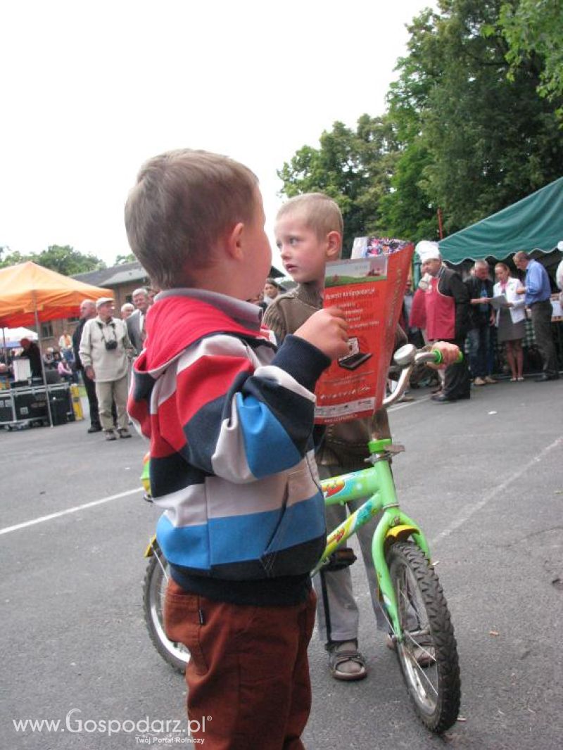 Festiwal Wieprzowiny w Koźminie Wielkopolskim 2013