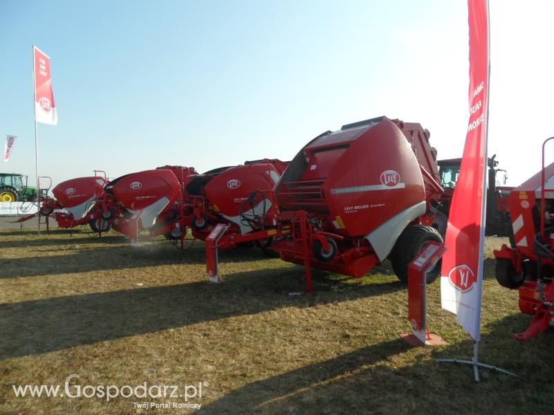 P.H.U. Omega na Bednarach