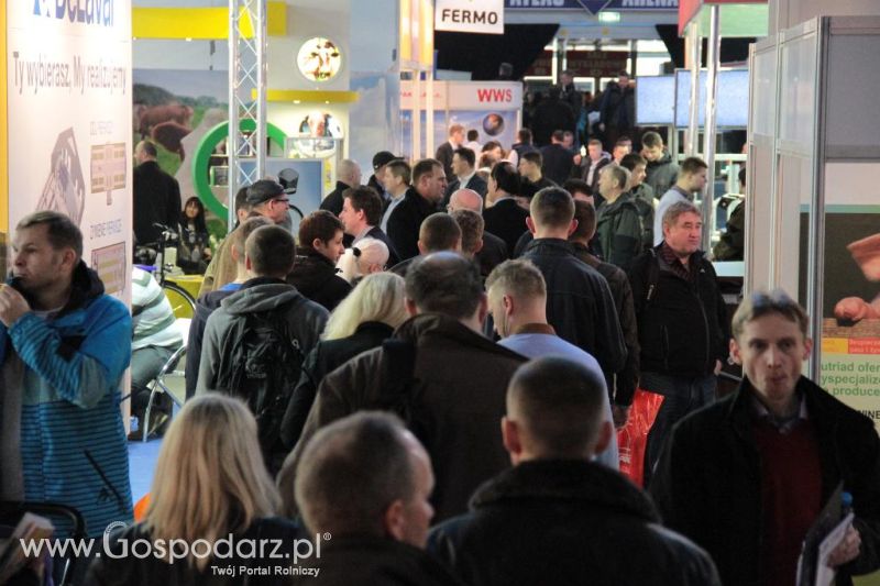 Targi FERMA 2014 - piątek