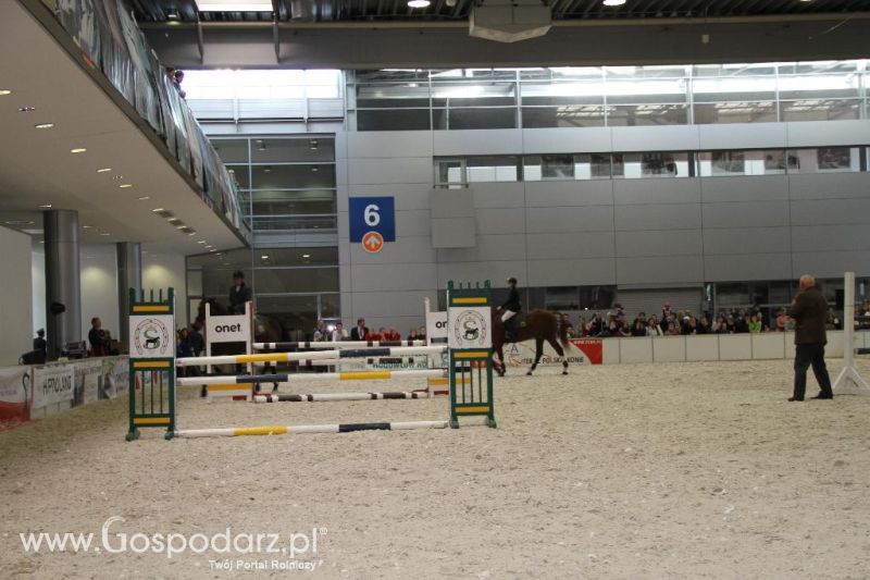 CAVALIADA 2013 w Poznaniu