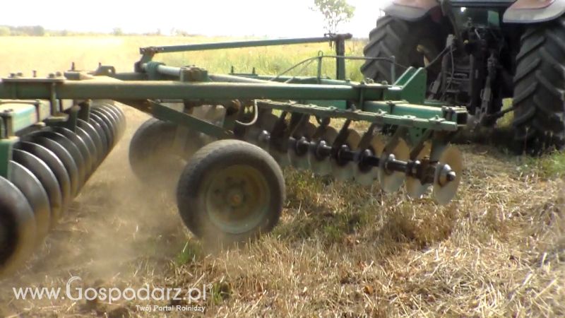 Talerzowane 2013 