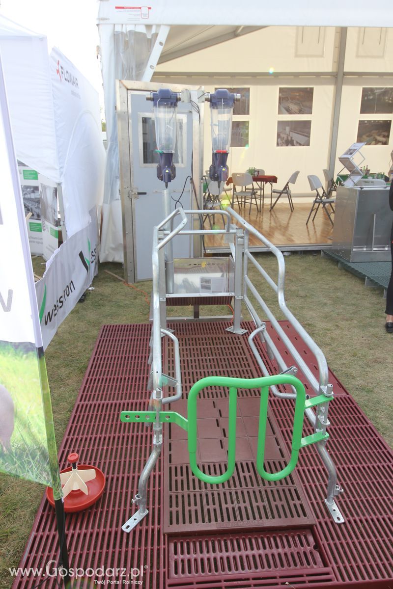 Wesstron na AGRO SHOW 2016