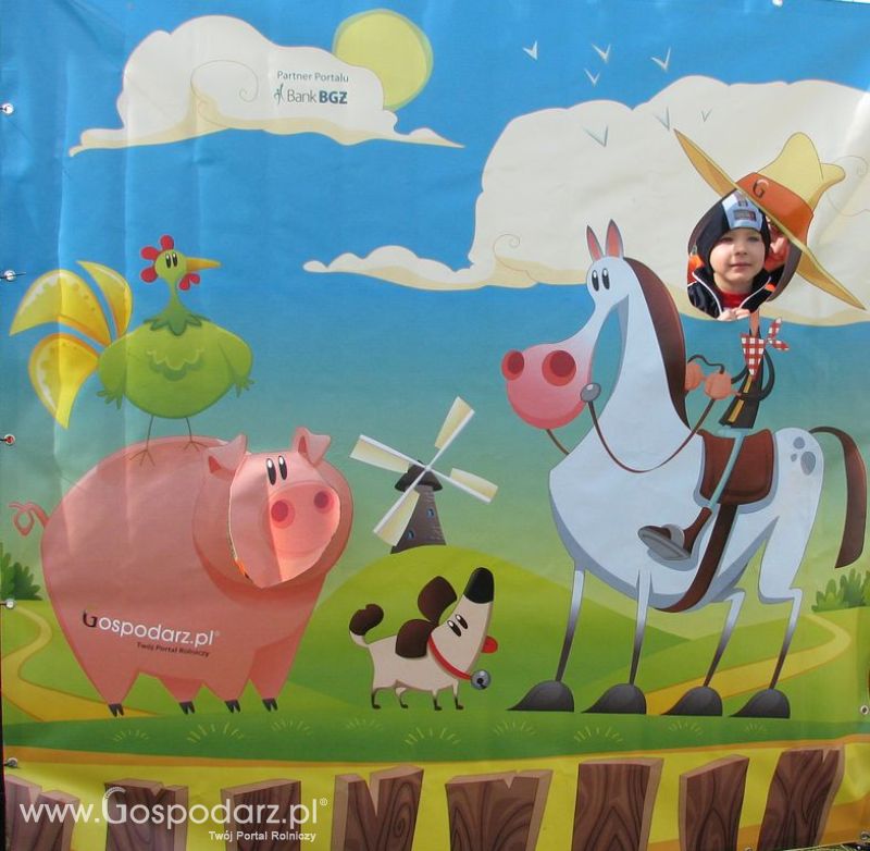 Zdjęcia ze świnką na Agro Show 2012 piątek