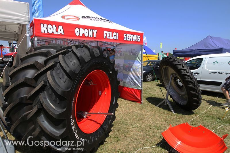 Grasdorf Koła Polska Sp. z o.o. na Targach Agro-Tech w Minikowie