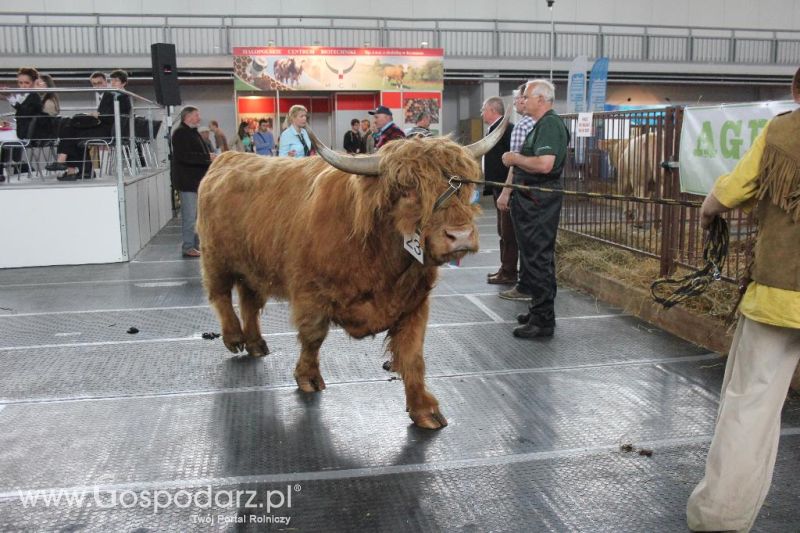 XXVI Krajowa Wystawa Zwierząt Hodowlanych - sobota i niedziela
