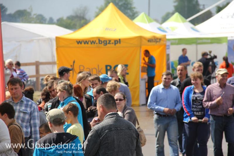 Dni Otwarte w GR Hendripol sp. z o.o.
