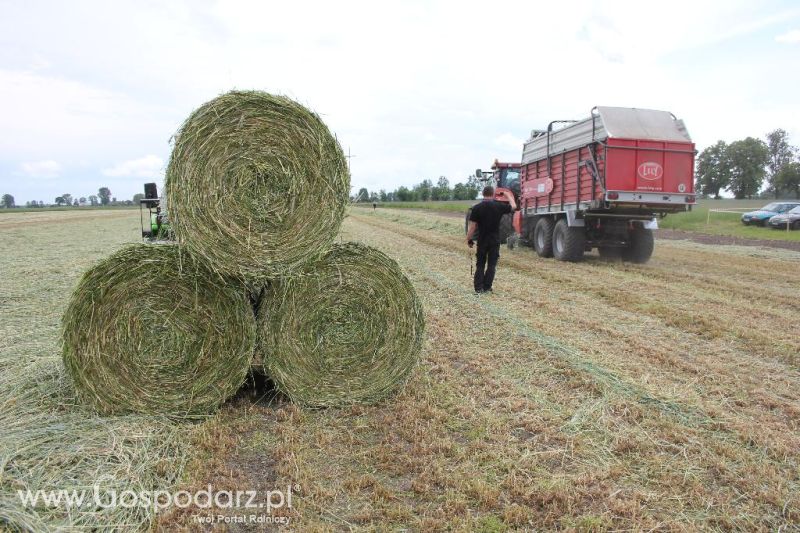 Pokazy polowe Romanów k/Krotoszyna