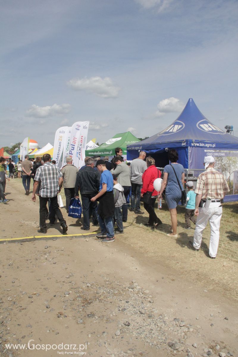 Zielone AGRO SHOW - Polskie Zboża 2015 w Sielinku