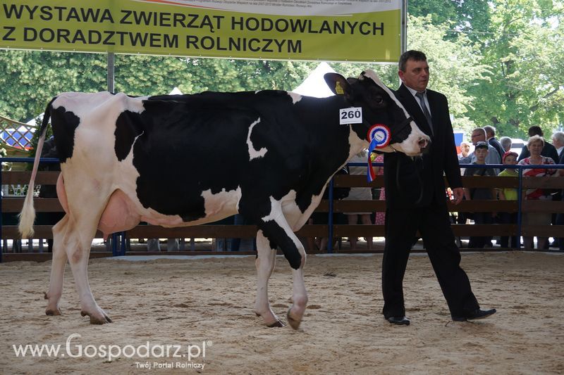 Wystawa zwierząt w Szepietowie