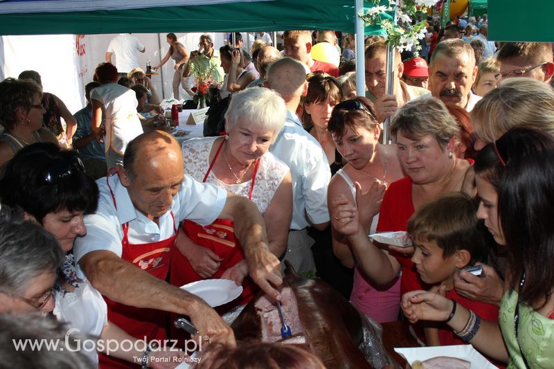 Ogólnopolski Festiwal Wieprzowiny w Łasinie