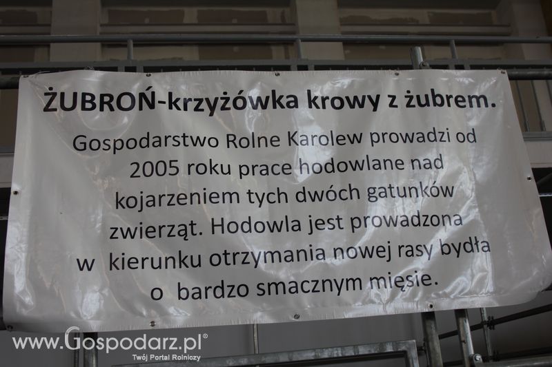 KWZH, Polagra Food poniedziałek-wtorek