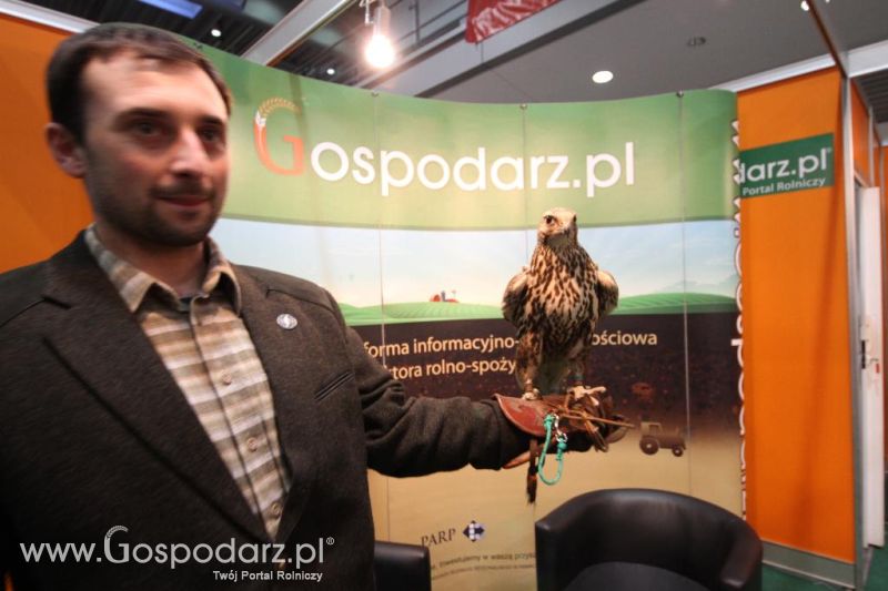 CAVALIADA 2013 w Poznaniu