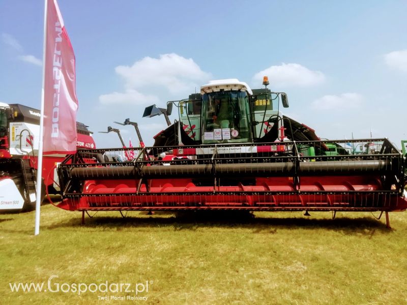 Opologra 2019