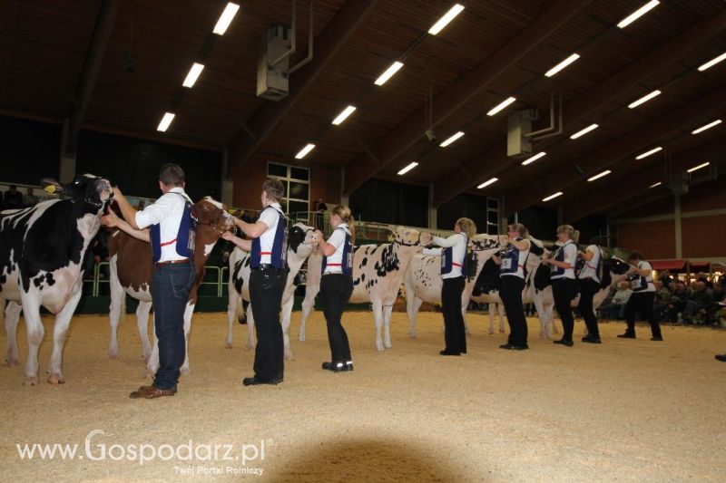 Wystawa  Blickpunkt Rind 2013 w miejscowości Paaren/Glien (Niemcy)