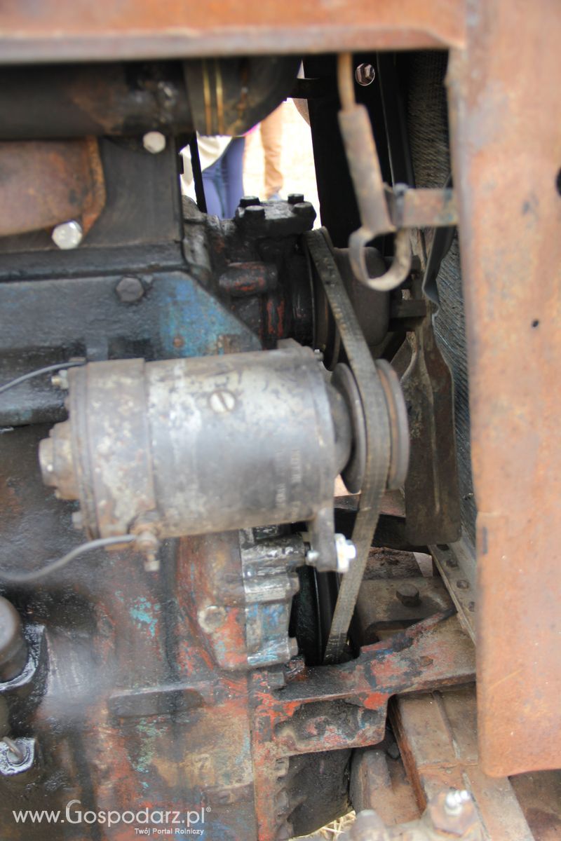 Targi AGRO-FARMA 2015 w Kowalewie Pomorskim - niedziela